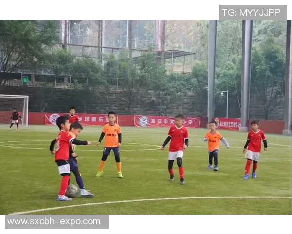 少年足球梦想启航团结拼搏勇往直前共创辉煌未来